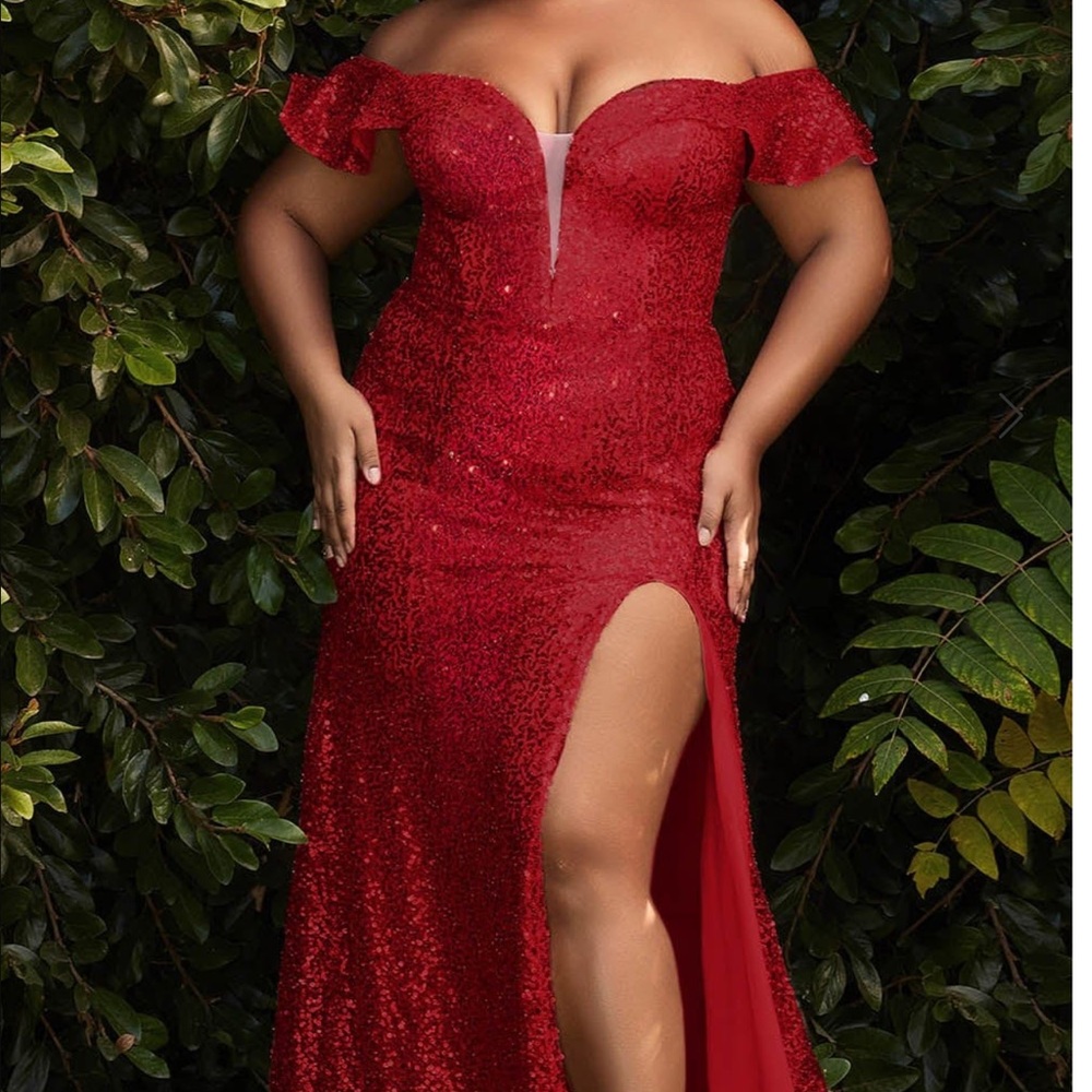 Cinderella divine